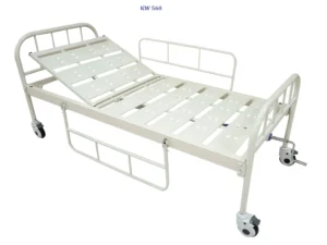 Eazcure Back Rest Cot
